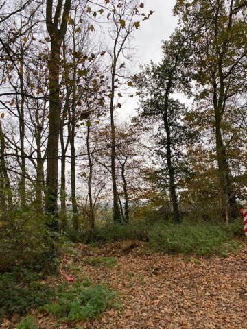 Vakantiewoning Petit Watou Apartment